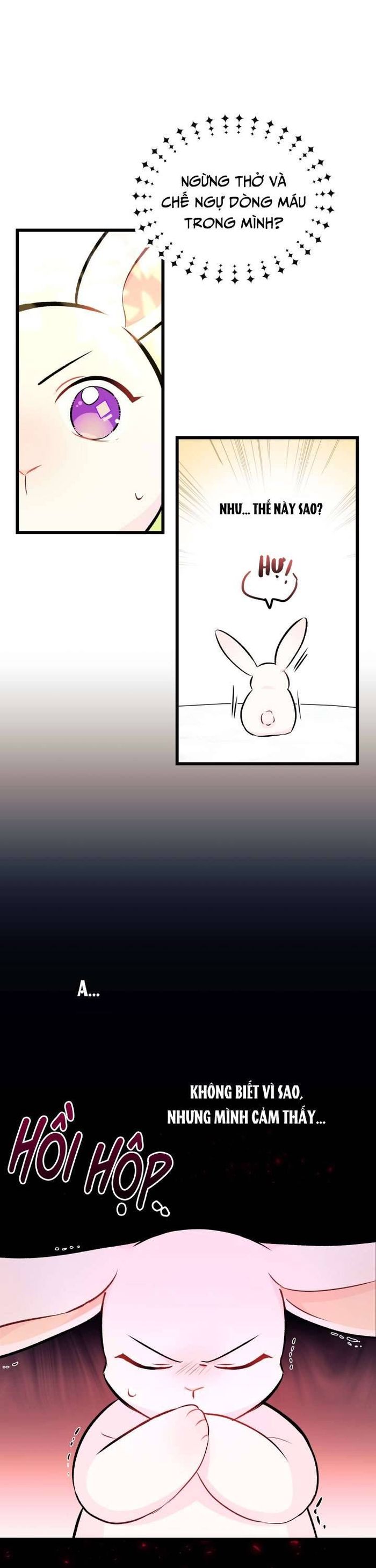 Mối Quan Hệ Cộng Sinh Giữa Báo Đen Và Thỏ Trắng - Chap 6 Ảnh 8