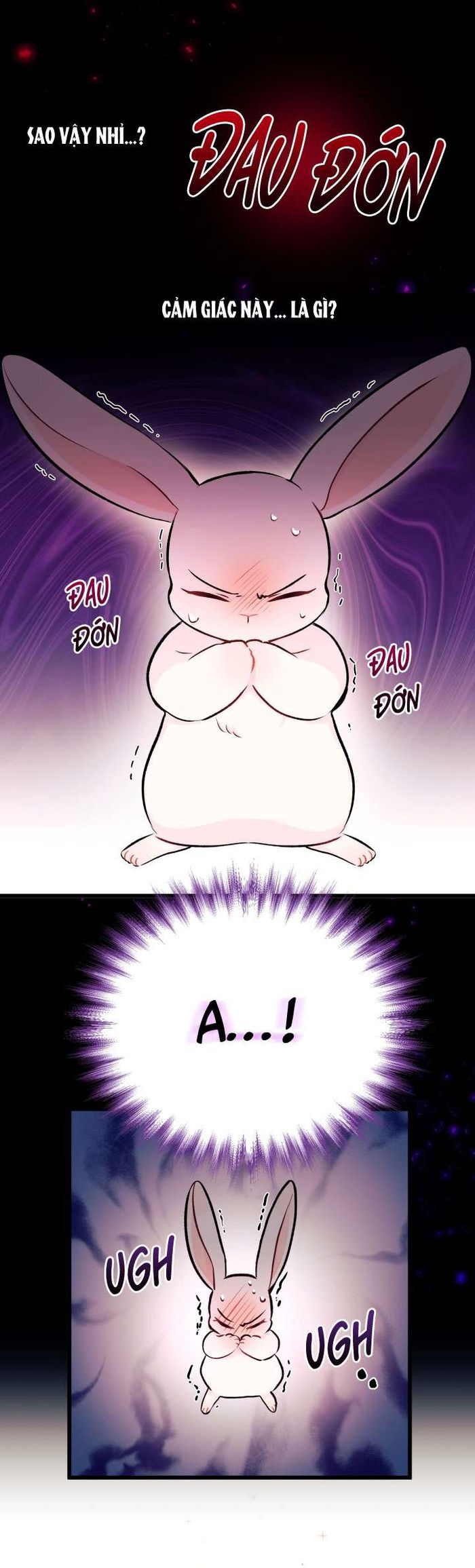 Mối Quan Hệ Cộng Sinh Giữa Báo Đen Và Thỏ Trắng - Chap 6 Ảnh 9