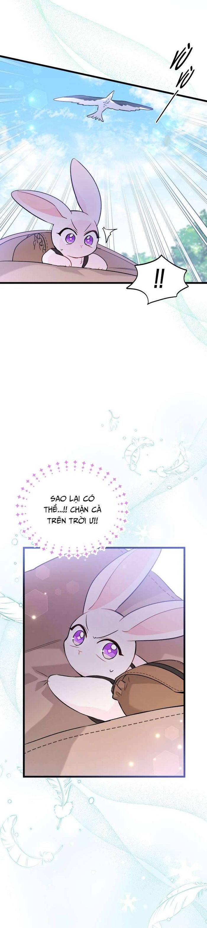 Mối Quan Hệ Cộng Sinh Giữa Báo Đen Và Thỏ Trắng - Chap 60 Ảnh 19