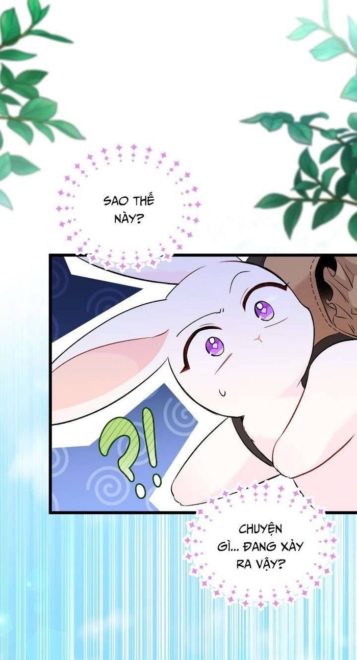 Mối Quan Hệ Cộng Sinh Giữa Báo Đen Và Thỏ Trắng - Chap 60 Ảnh 24