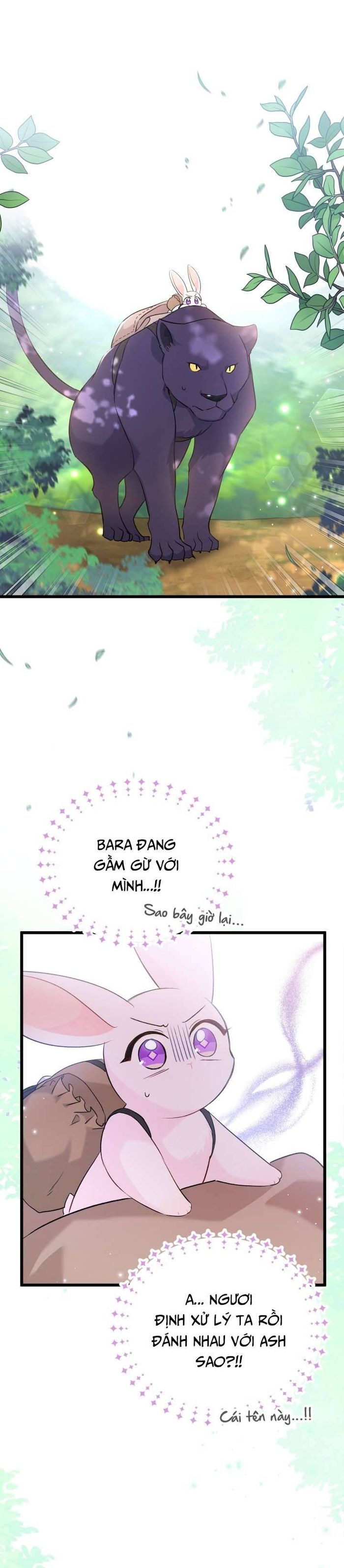 Mối Quan Hệ Cộng Sinh Giữa Báo Đen Và Thỏ Trắng - Chap 61 Ảnh 16