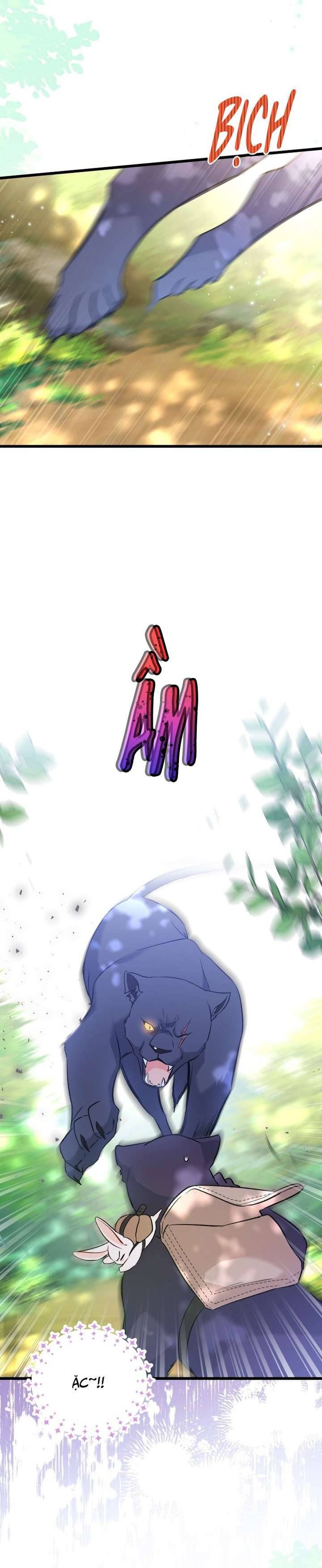 Mối Quan Hệ Cộng Sinh Giữa Báo Đen Và Thỏ Trắng - Chap 61 Ảnh 17