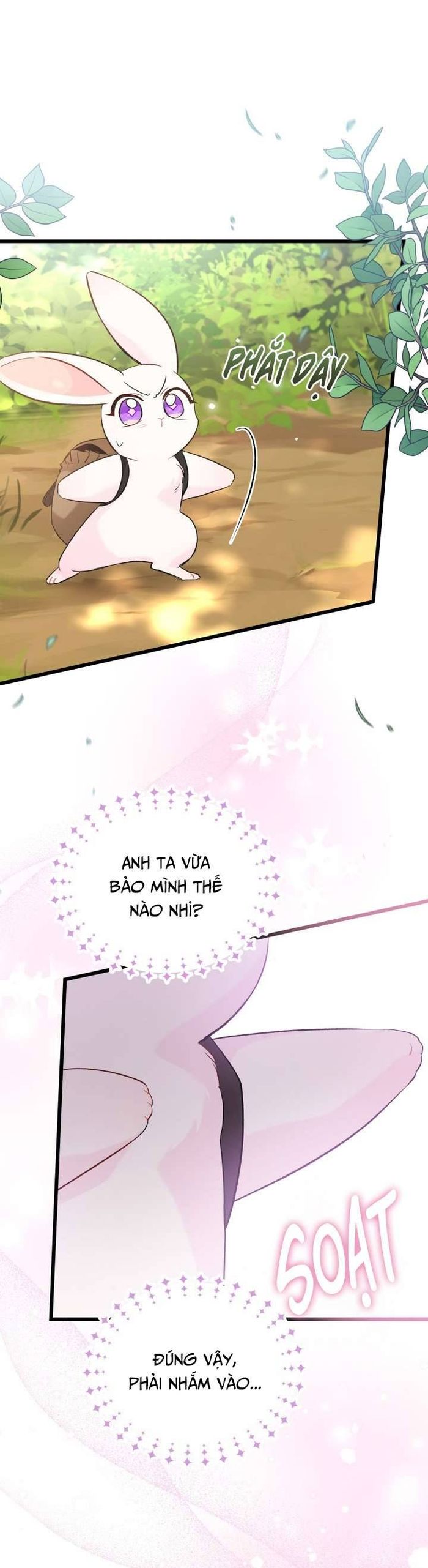 Mối Quan Hệ Cộng Sinh Giữa Báo Đen Và Thỏ Trắng - Chap 61 Ảnh 26