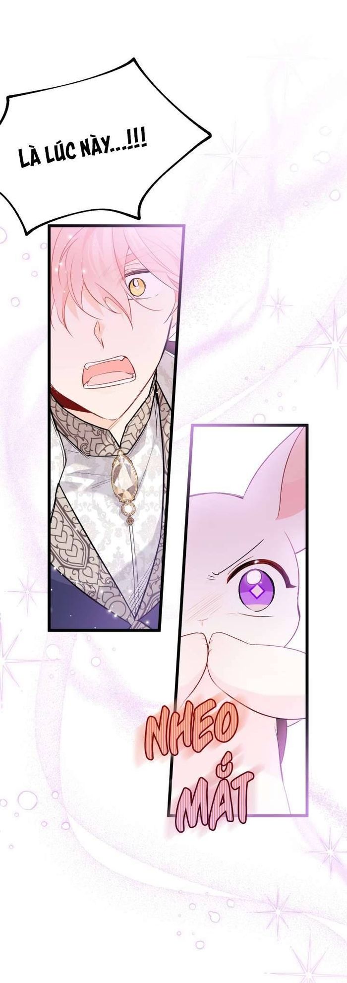 Mối Quan Hệ Cộng Sinh Giữa Báo Đen Và Thỏ Trắng - Chap 61 Ảnh 33