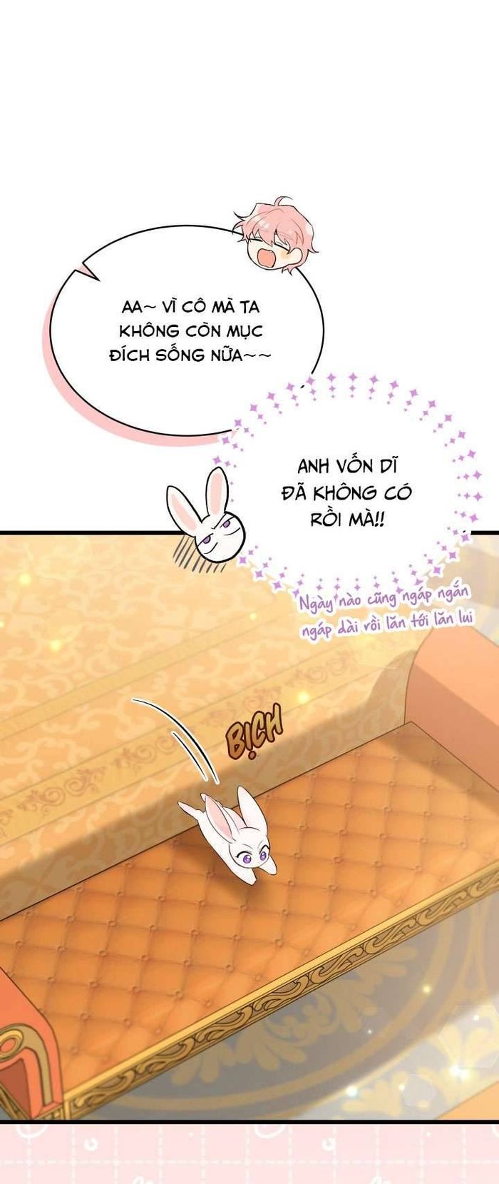 Mối Quan Hệ Cộng Sinh Giữa Báo Đen Và Thỏ Trắng - Chap 63 Ảnh 14