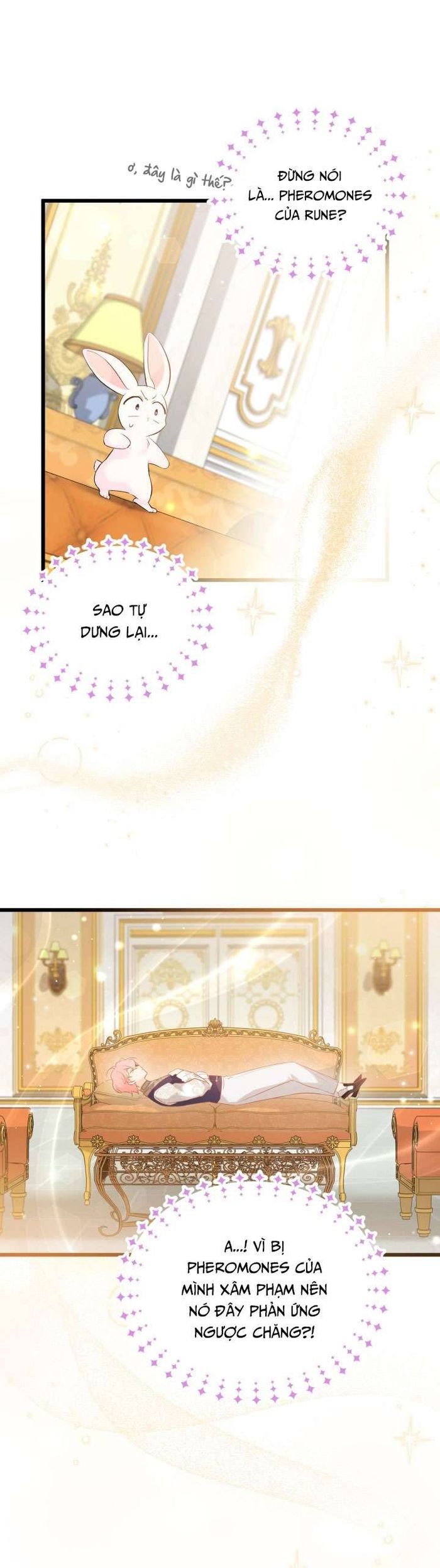 Mối Quan Hệ Cộng Sinh Giữa Báo Đen Và Thỏ Trắng - Chap 63 Ảnh 21