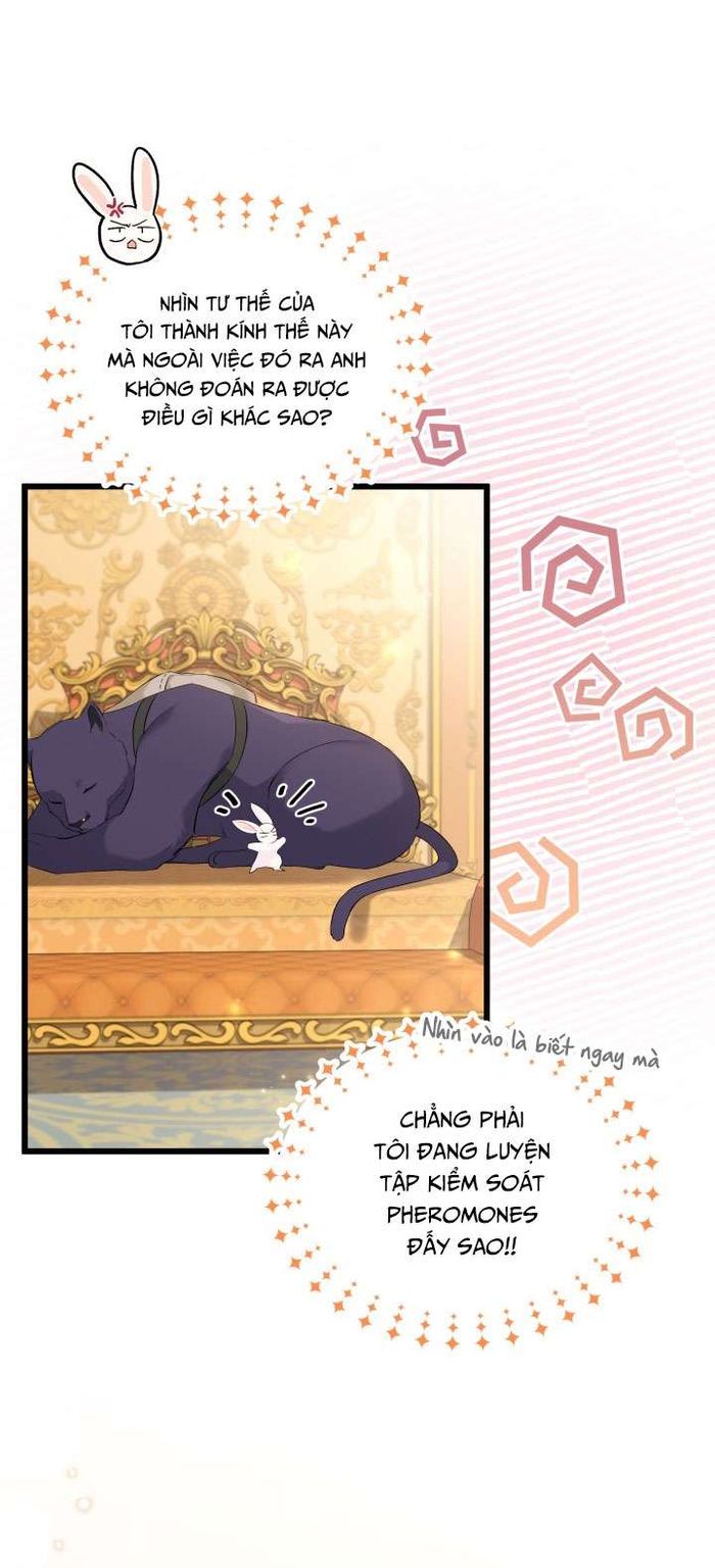 Mối Quan Hệ Cộng Sinh Giữa Báo Đen Và Thỏ Trắng - Chap 63 Ảnh 5