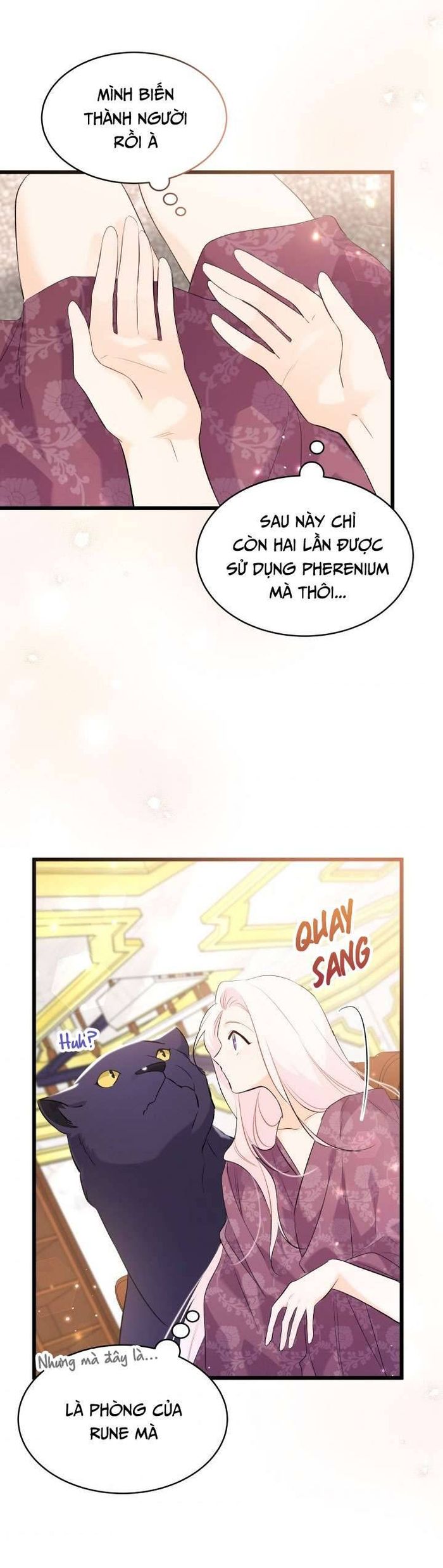 Mối Quan Hệ Cộng Sinh Giữa Báo Đen Và Thỏ Trắng - Chap 63 Ảnh 51