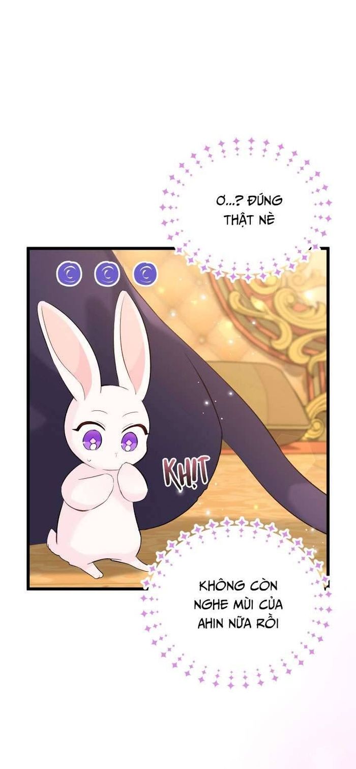 Mối Quan Hệ Cộng Sinh Giữa Báo Đen Và Thỏ Trắng - Chap 63 Ảnh 9