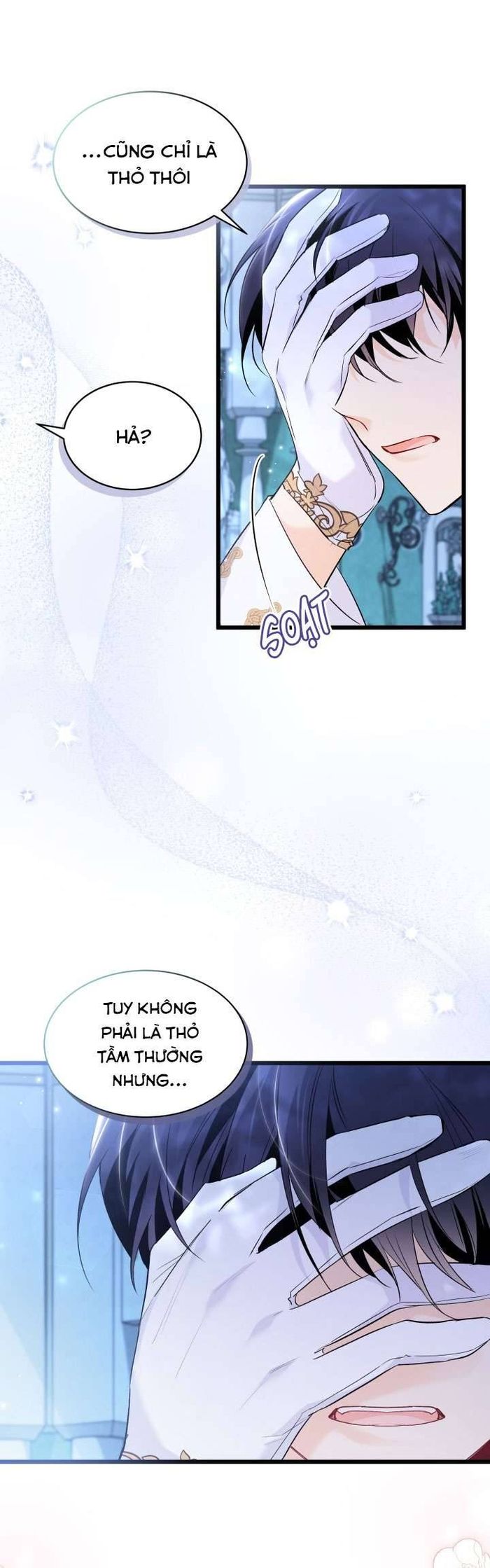 Mối Quan Hệ Cộng Sinh Giữa Báo Đen Và Thỏ Trắng - Chap 66 Ảnh 27