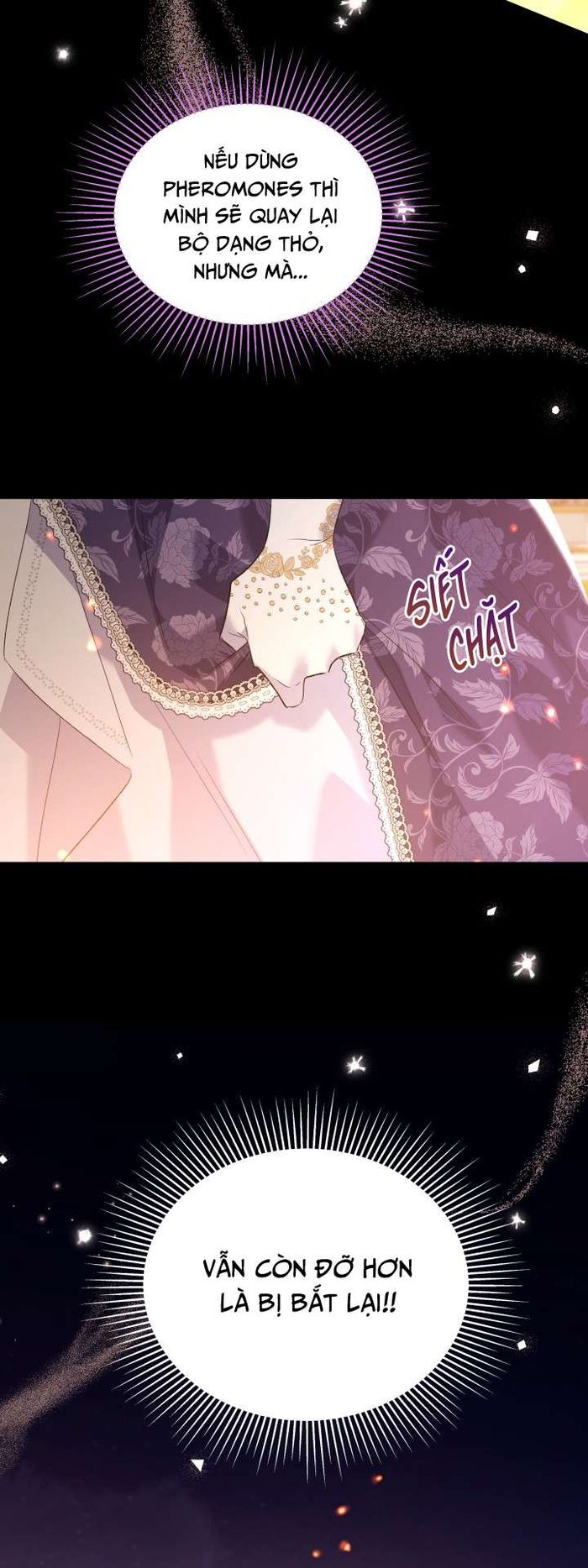 Mối Quan Hệ Cộng Sinh Giữa Báo Đen Và Thỏ Trắng - Chap 68 Ảnh 25