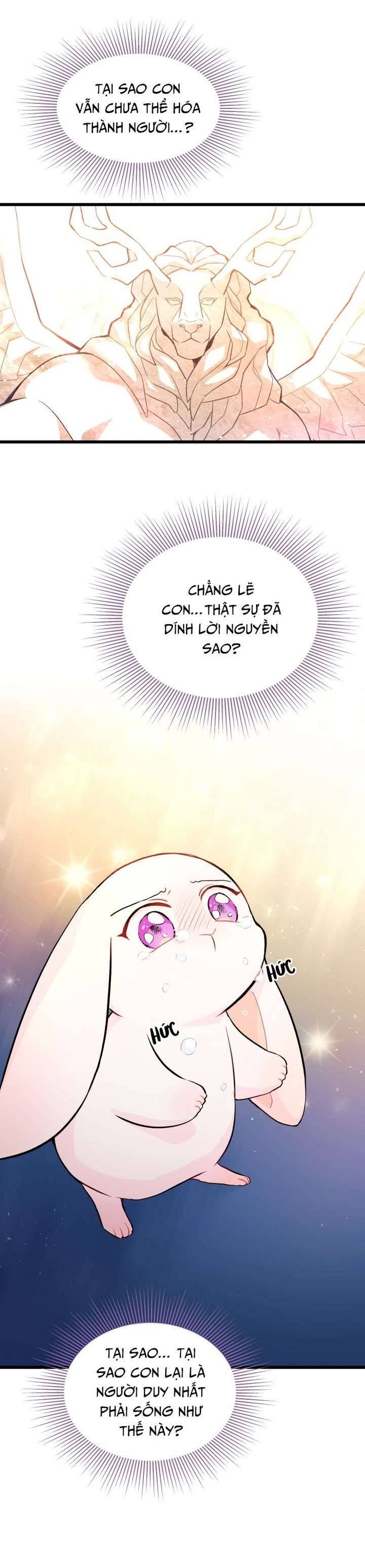 Mối Quan Hệ Cộng Sinh Giữa Báo Đen Và Thỏ Trắng - Chap 7 Ảnh 23
