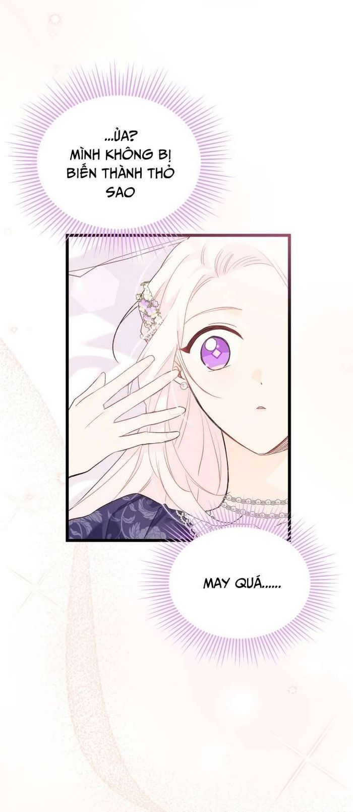 Mối Quan Hệ Cộng Sinh Giữa Báo Đen Và Thỏ Trắng - Chap 72 Ảnh 3