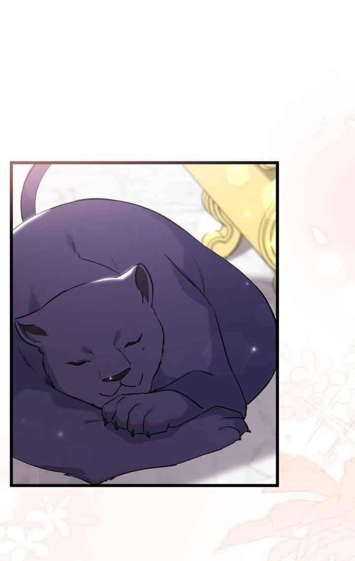 Mối Quan Hệ Cộng Sinh Giữa Báo Đen Và Thỏ Trắng - Chap 72 Ảnh 43