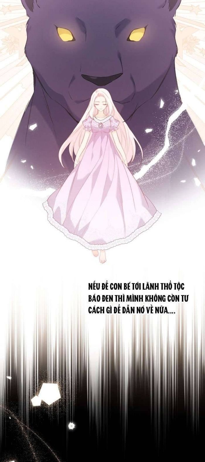 Mối Quan Hệ Cộng Sinh Giữa Báo Đen Và Thỏ Trắng - Chap 74 Ảnh 25