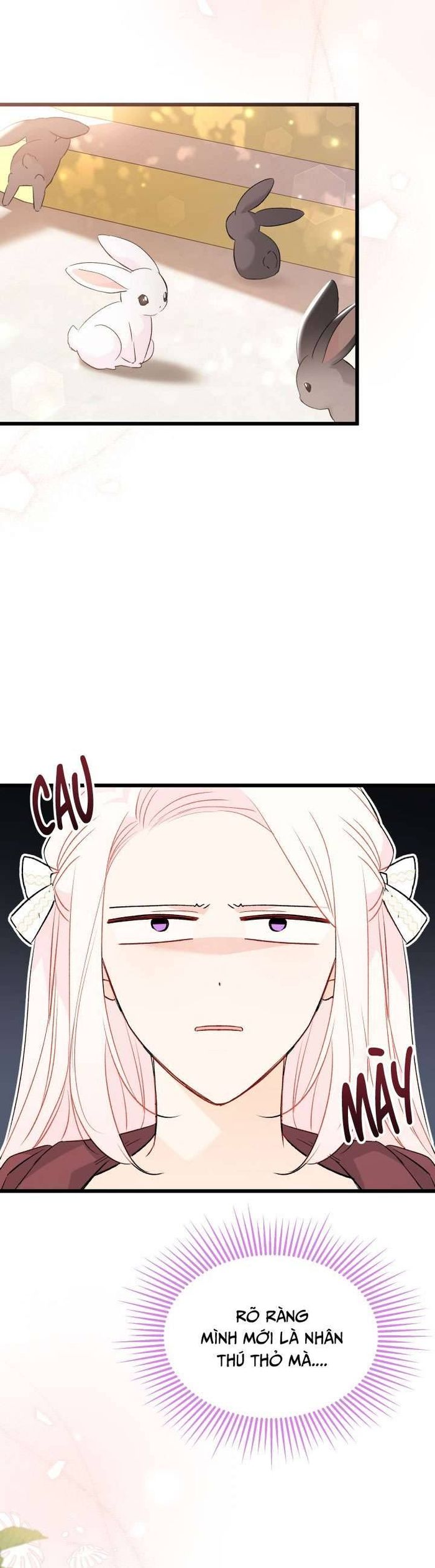 Mối Quan Hệ Cộng Sinh Giữa Báo Đen Và Thỏ Trắng - Chap 75 Ảnh 23