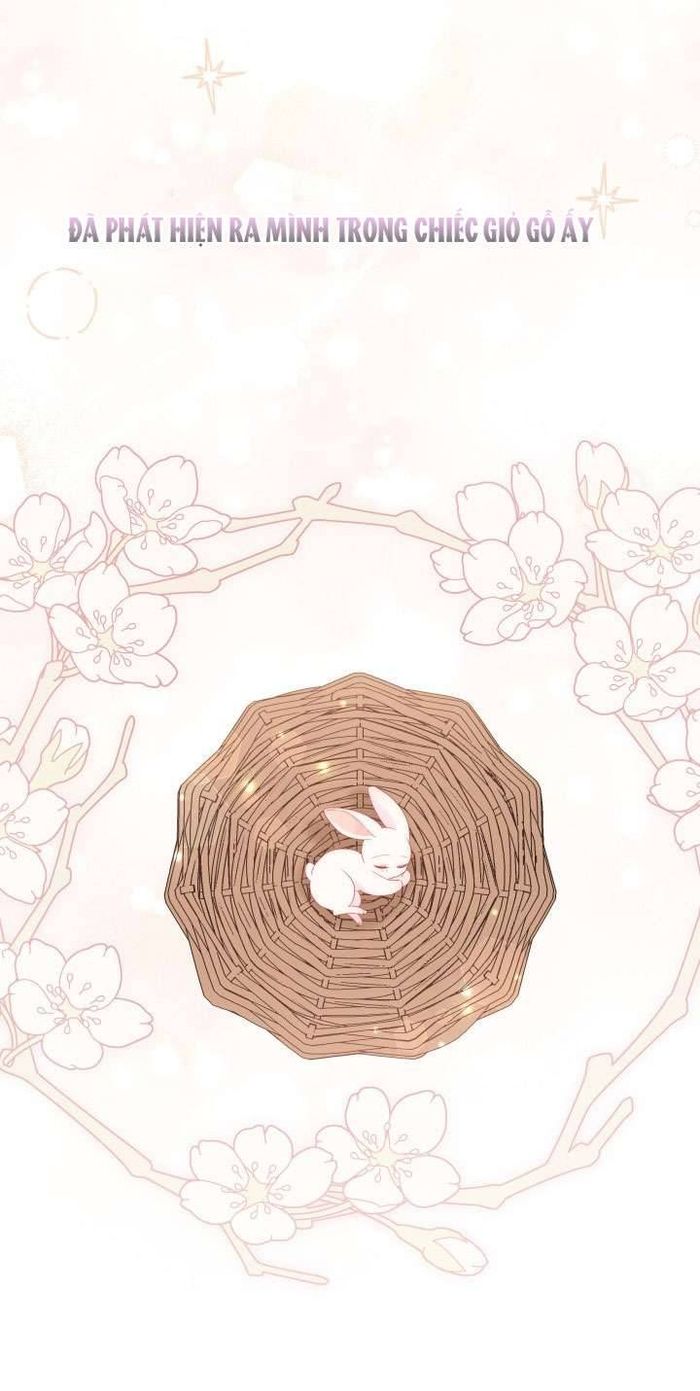Mối Quan Hệ Cộng Sinh Giữa Báo Đen Và Thỏ Trắng - Chap 78 Ảnh 4