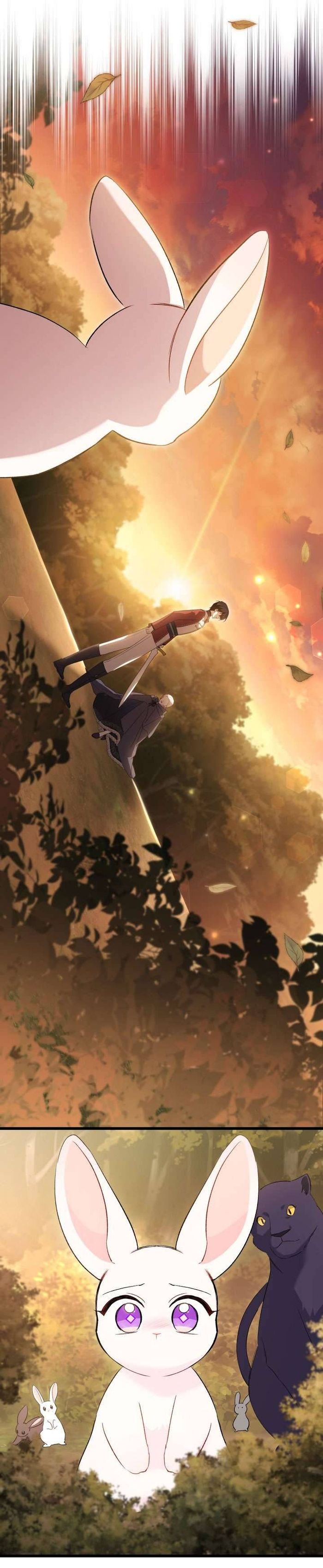 Mối Quan Hệ Cộng Sinh Giữa Báo Đen Và Thỏ Trắng - Chap 81 Ảnh 46