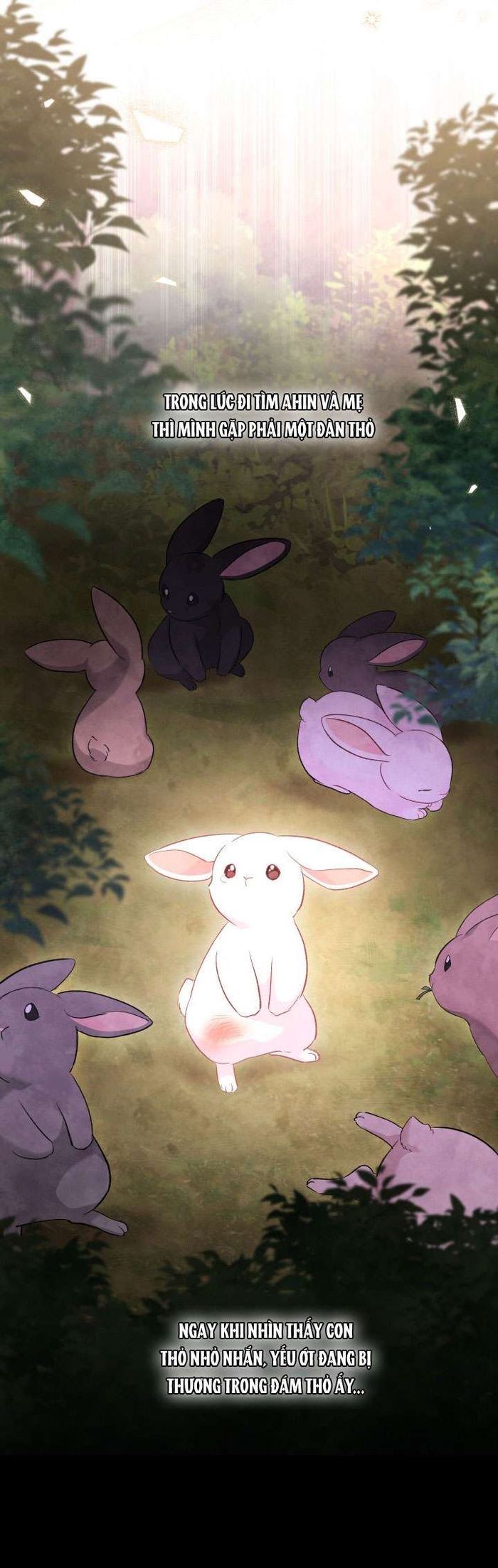 Mối Quan Hệ Cộng Sinh Giữa Báo Đen Và Thỏ Trắng - Chap 82 Ảnh 2