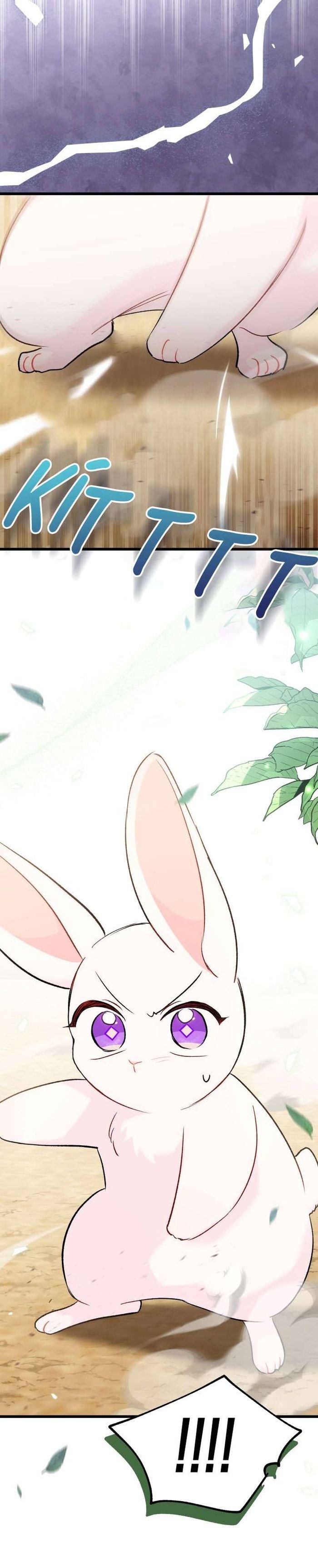 Mối Quan Hệ Cộng Sinh Giữa Báo Đen Và Thỏ Trắng - Chap 82 Ảnh 59