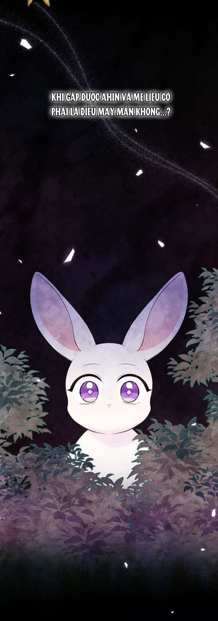 Mối Quan Hệ Cộng Sinh Giữa Báo Đen Và Thỏ Trắng - Chap 82 Ảnh 10