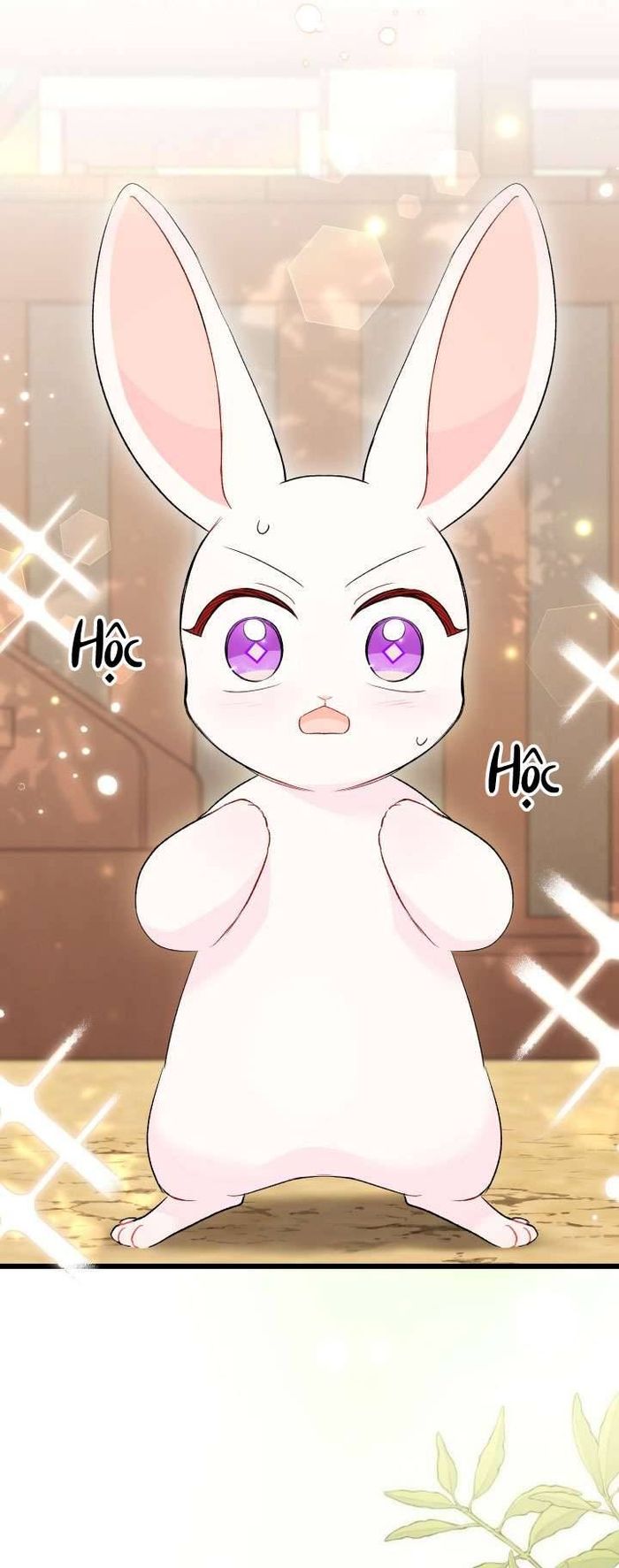 Mối Quan Hệ Cộng Sinh Giữa Báo Đen Và Thỏ Trắng - Chap 83 Ảnh 5