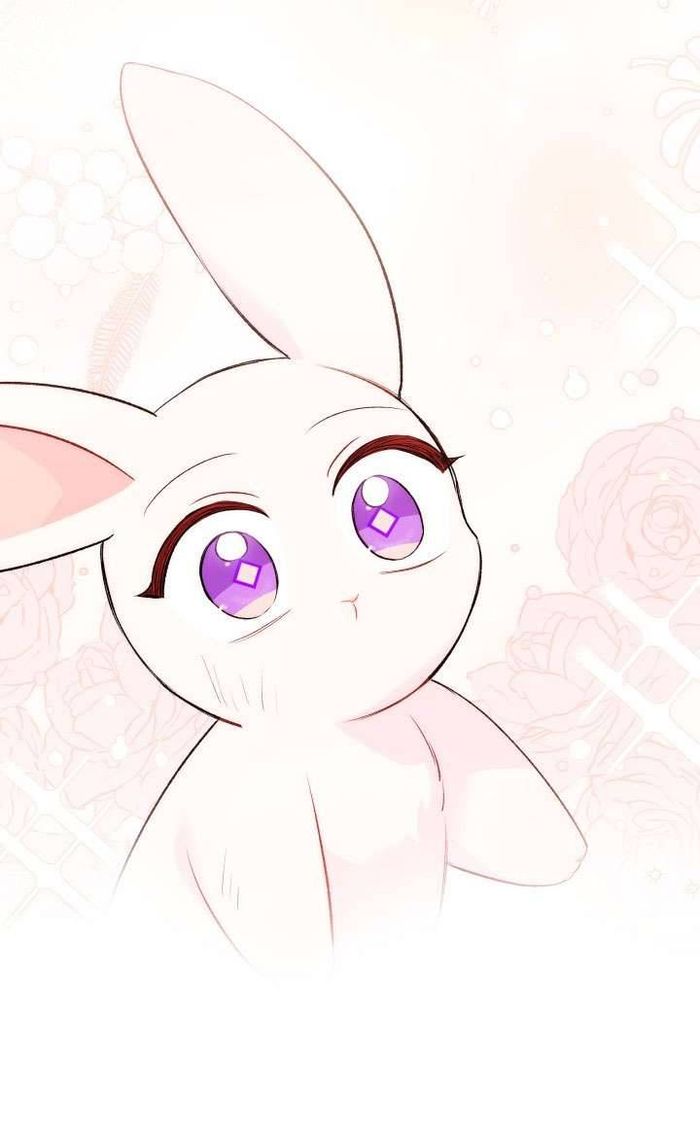 Mối Quan Hệ Cộng Sinh Giữa Báo Đen Và Thỏ Trắng - Chap 83 Ảnh 64