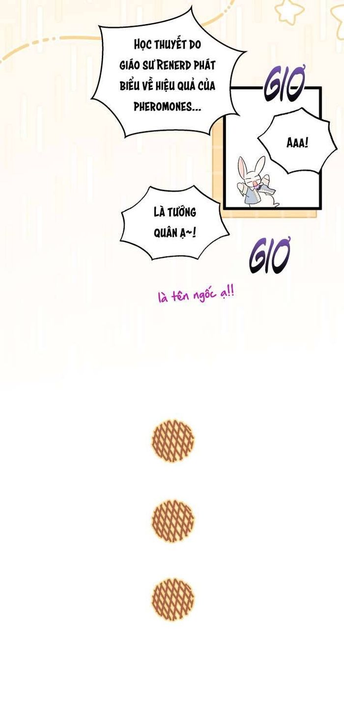 Mối Quan Hệ Cộng Sinh Giữa Báo Đen Và Thỏ Trắng - Chap 84 Ảnh 42