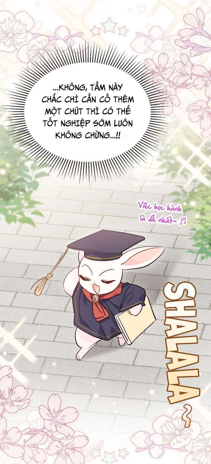 Mối Quan Hệ Cộng Sinh Giữa Báo Đen Và Thỏ Trắng - Chap 84 Ảnh 48
