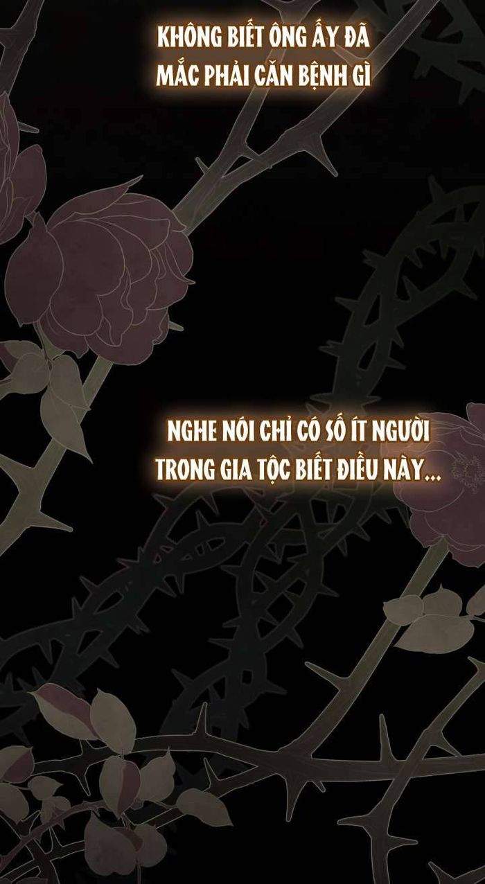 Mối Quan Hệ Cộng Sinh Giữa Báo Đen Và Thỏ Trắng - Chap 85 Ảnh 3