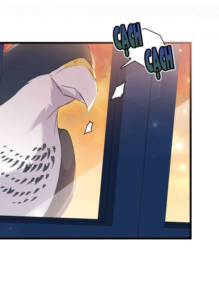 Mối Quan Hệ Cộng Sinh Giữa Báo Đen Và Thỏ Trắng - Chap 85 Ảnh 23