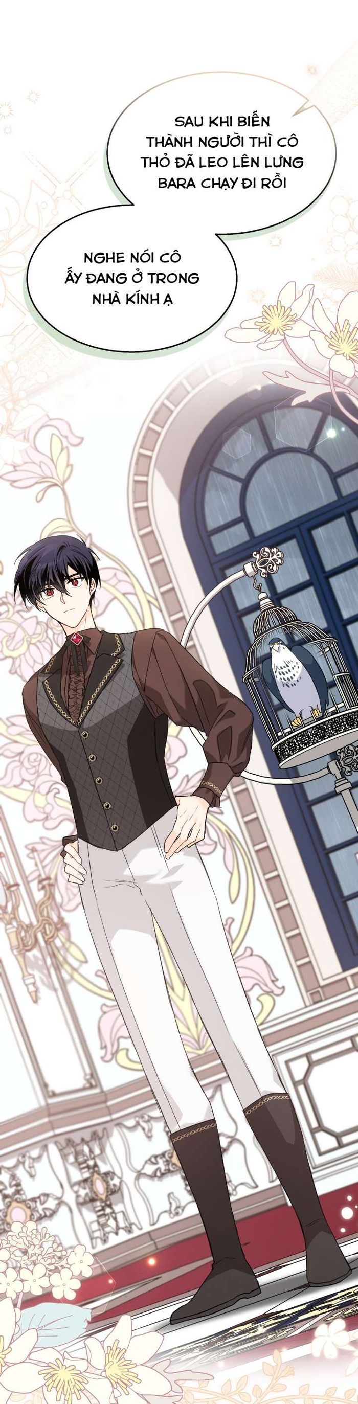 Mối Quan Hệ Cộng Sinh Giữa Báo Đen Và Thỏ Trắng - Chap 86 Ảnh 35