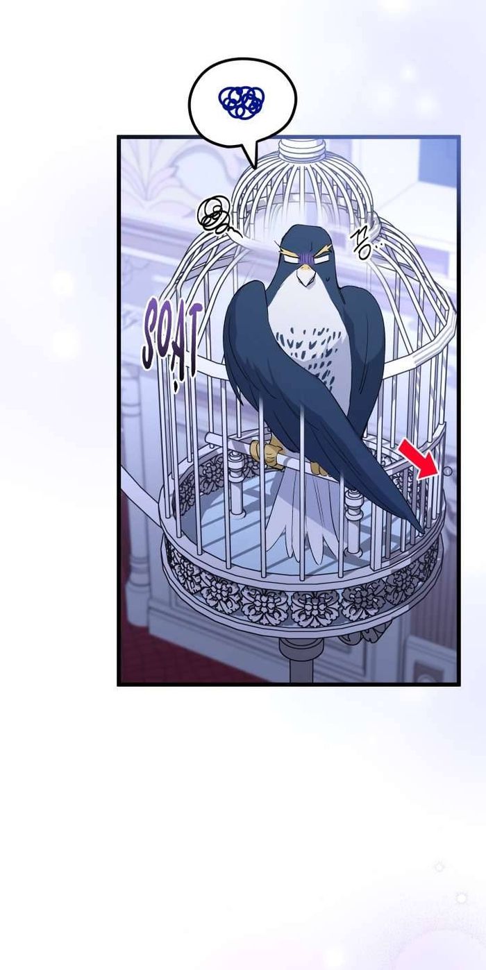 Mối Quan Hệ Cộng Sinh Giữa Báo Đen Và Thỏ Trắng - Chap 87 Ảnh 7