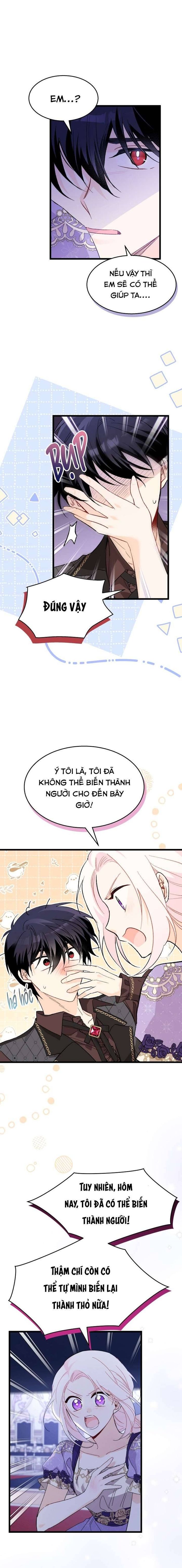 Mối Quan Hệ Cộng Sinh Giữa Báo Đen Và Thỏ Trắng - Chap 88 Ảnh 4