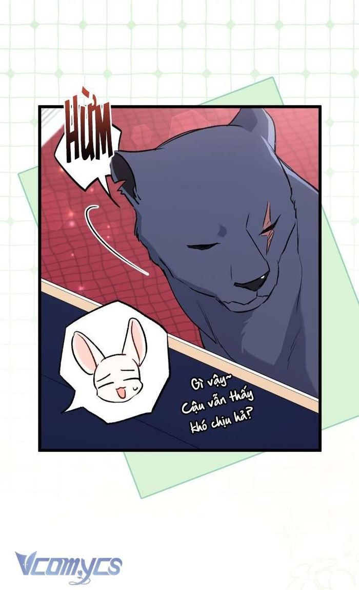 Mối Quan Hệ Cộng Sinh Giữa Báo Đen Và Thỏ Trắng - Chap 90 Ảnh 12
