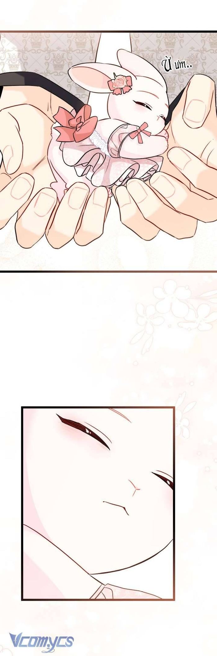 Mối Quan Hệ Cộng Sinh Giữa Báo Đen Và Thỏ Trắng - Chap 97 Ảnh 14