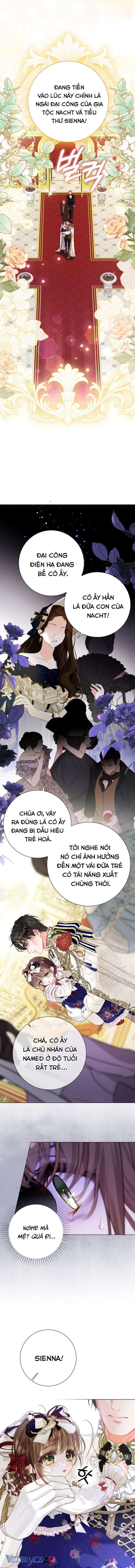 Một Thế Giới Không Có Chị Gái Mà Ai Cũng Yêu - Chap 36 Ảnh 12