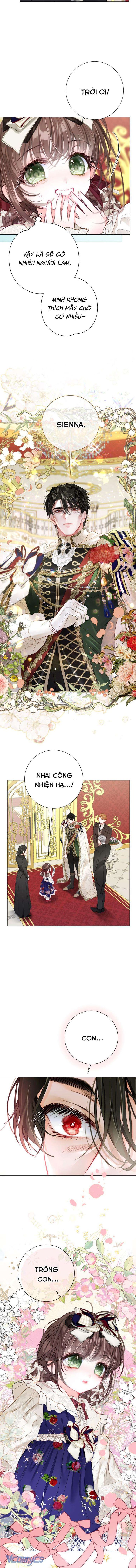 Một Thế Giới Không Có Chị Gái Mà Ai Cũng Yêu - Chap 36 Ảnh 9