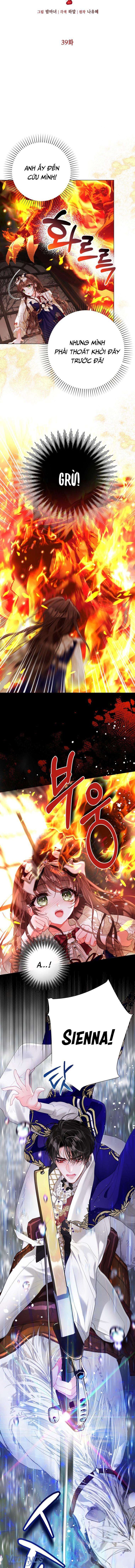 Một Thế Giới Không Có Chị Gái Mà Ai Cũng Yêu - Chap 39 Ảnh 2