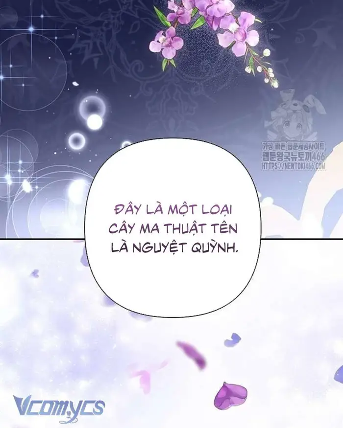 Praesepe Bên Ngoài Chiếc Lồng - Chap 17 Ảnh 9