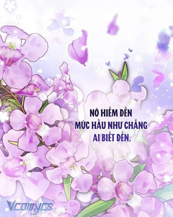 Praesepe Bên Ngoài Chiếc Lồng - Chap 17 Ảnh 10