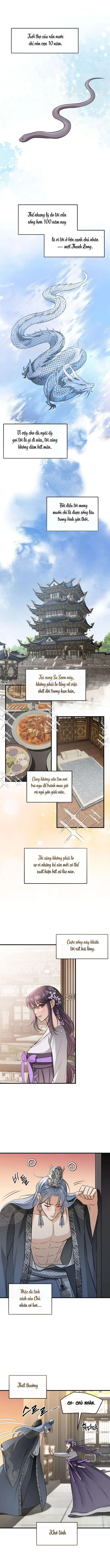 Sự Sủng Ái Của Long Vương - Chap 1 Ảnh 2