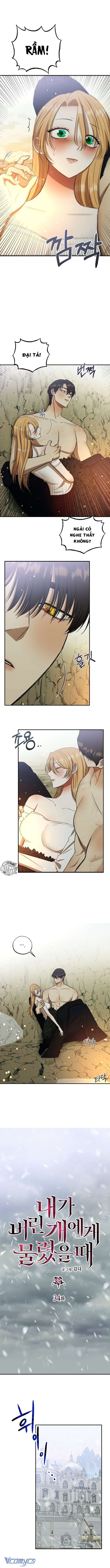 Tôi Bị Cắn Bởi Chú Chó Tôi Đã Bỏ Rơi - Chap 34 Ảnh 2