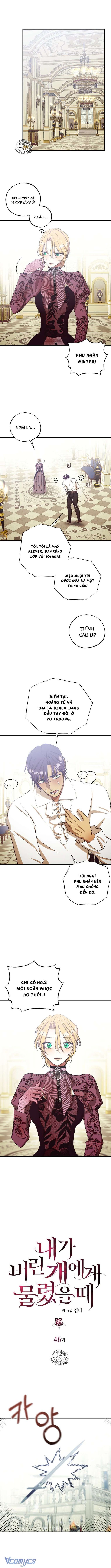 Tôi Bị Cắn Bởi Chú Chó Tôi Đã Bỏ Rơi - Chap 46 Ảnh 1