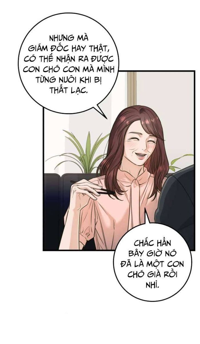 Tôi Nóng Lòng Muốn Chiếm Lấy Cô Ấy - Chap 13 Ảnh 21